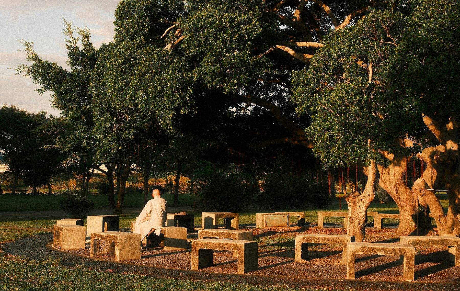 Bancs de pierre à l'ombre de grands arbres dans un parc, en fin de journée