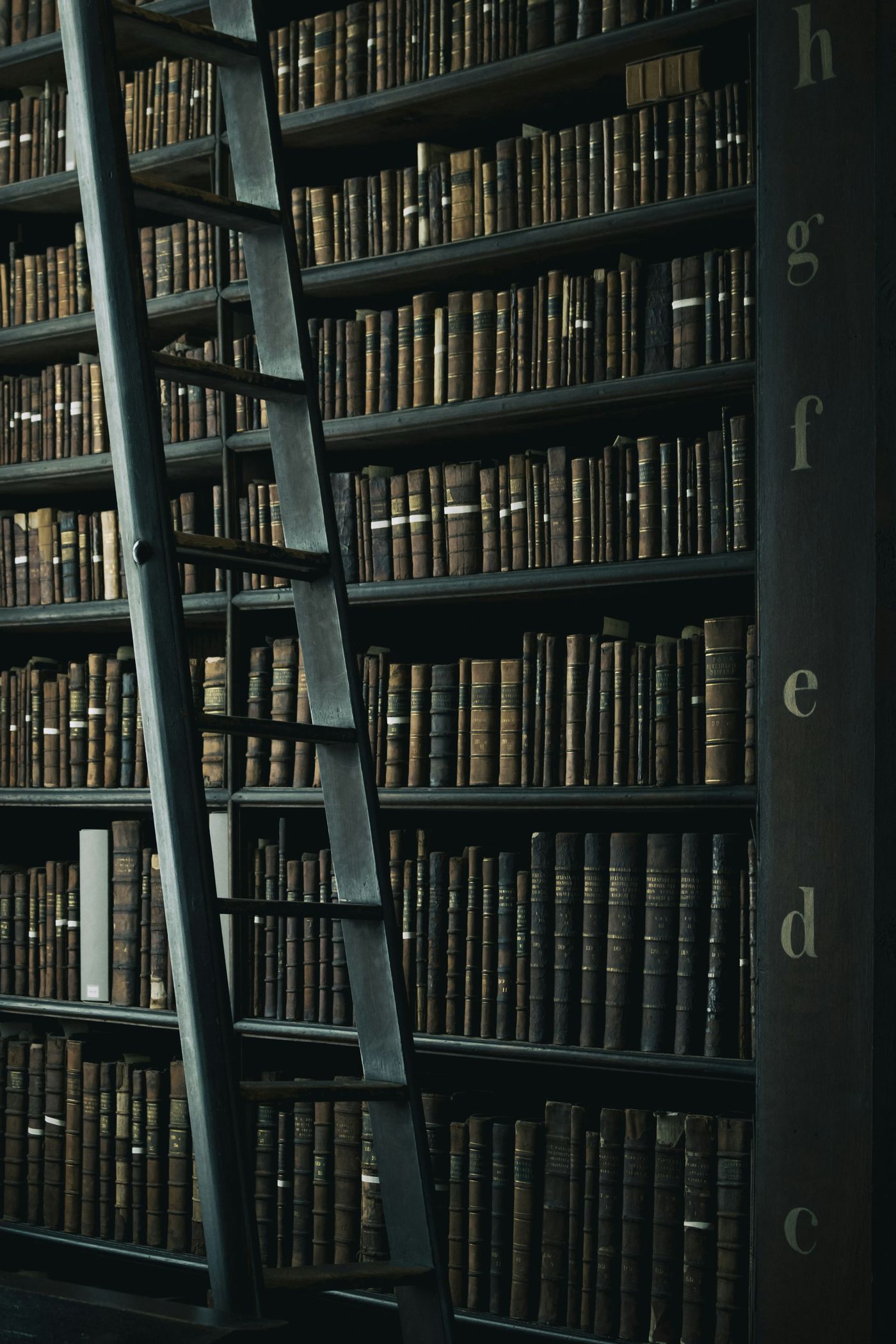 Échelle de bibliothèque appuyée contre de hauts rayonnages de livres anciens