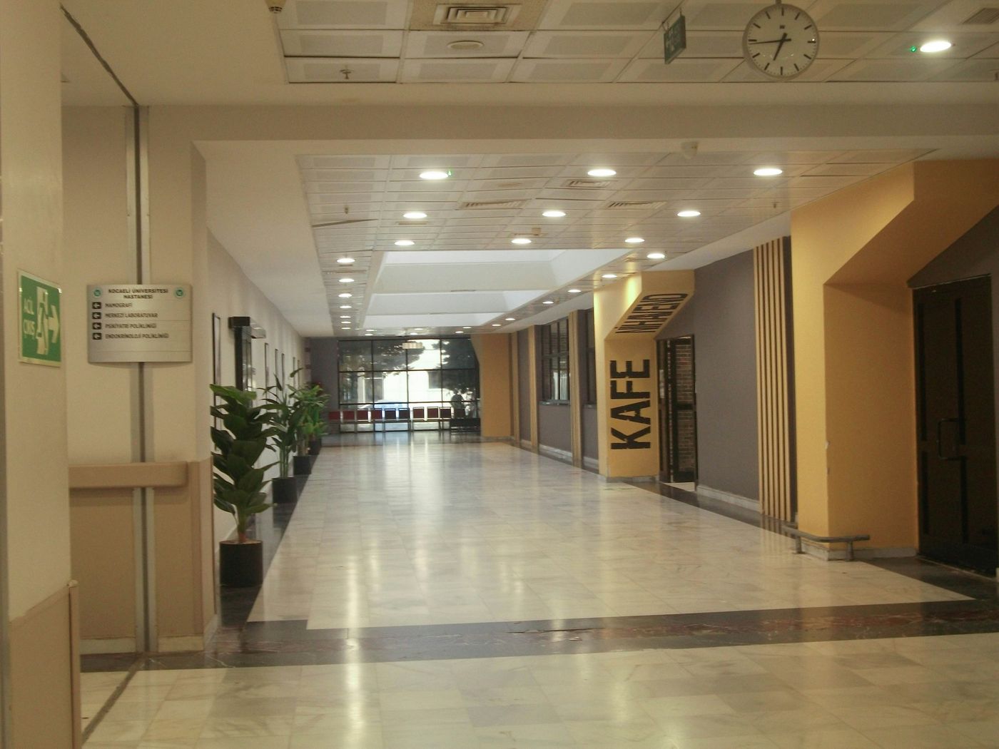 Couloir d'hôpital lumineux au sol clair, bordé de plantes en pot