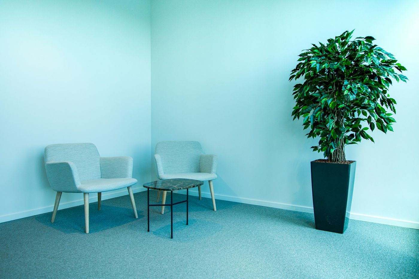 Deux fauteuils clairs face à face dans une pièce calme aux murs bleu pâle, avec une plante verte
